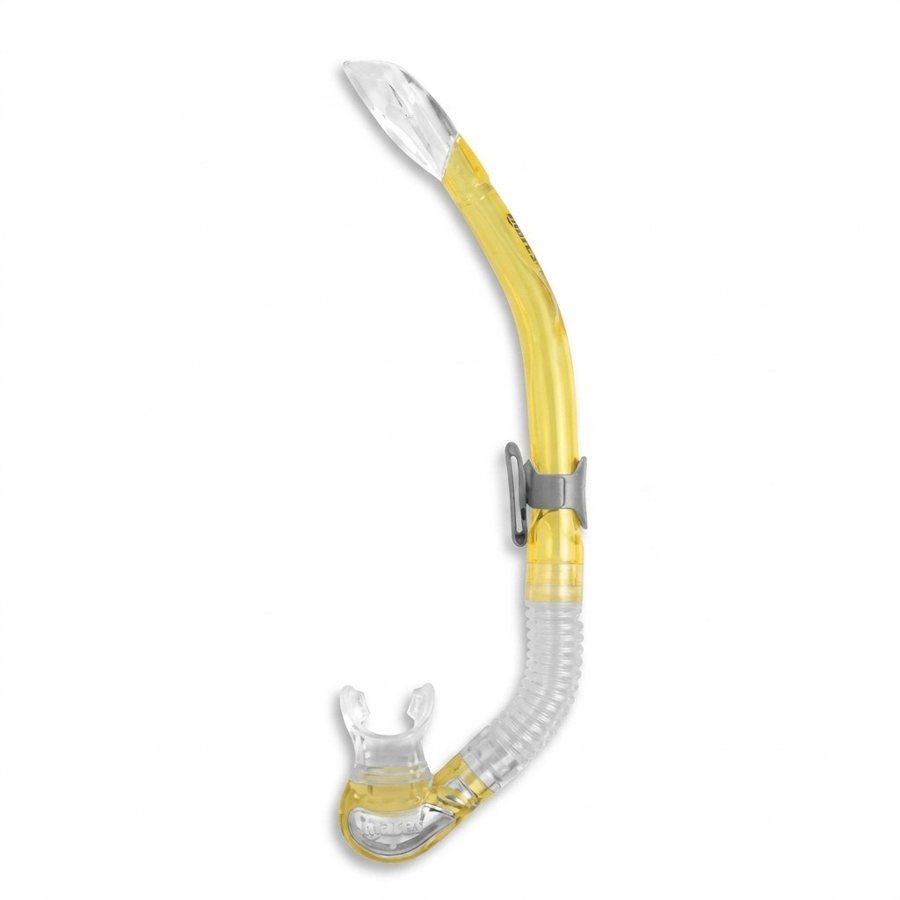 SNORKEL BAYBK SA